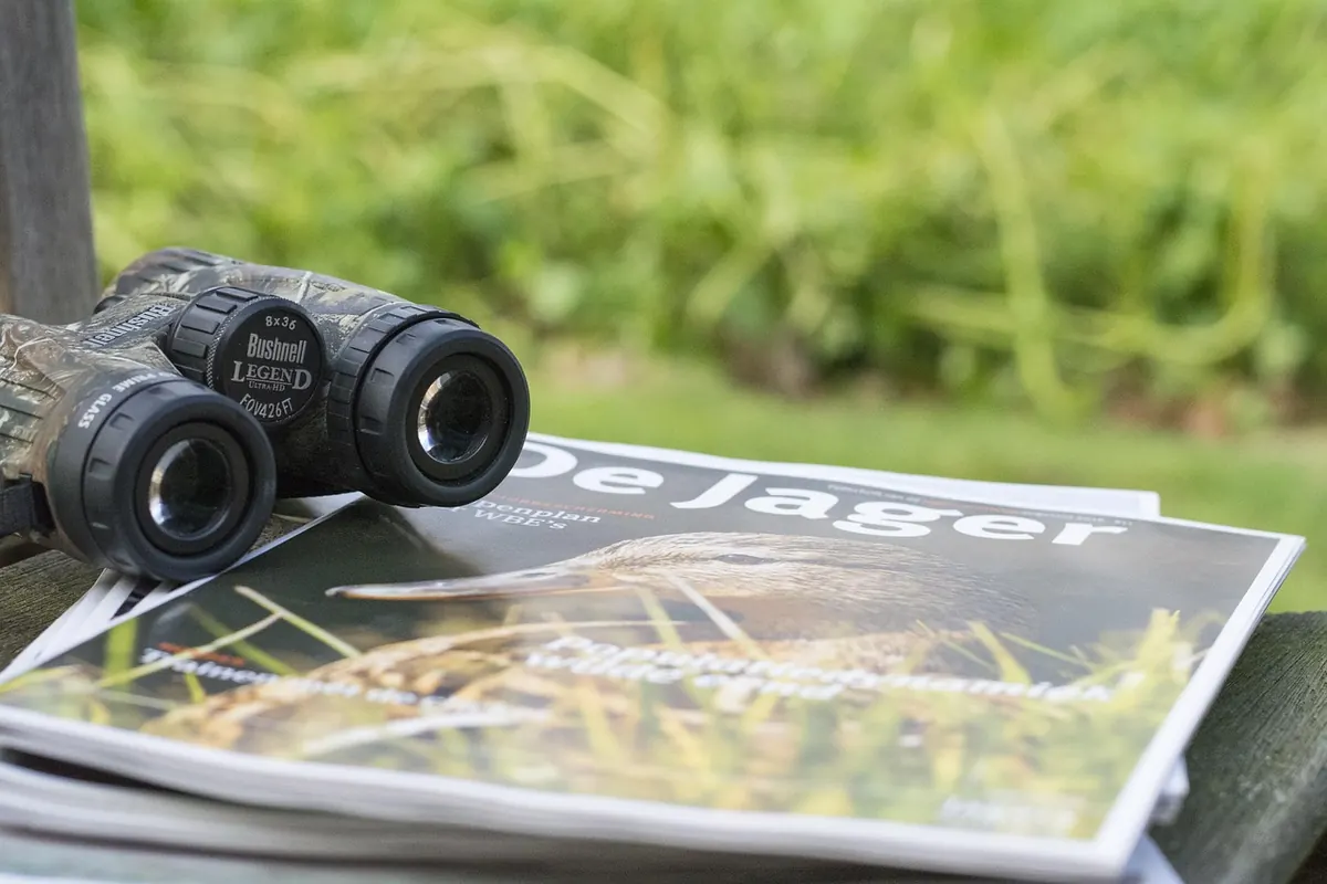 A Month-by-Month Guide to Watching British Raptors